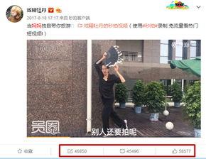 国产网红在线观看视频,在线观看视频热潮背后的故事