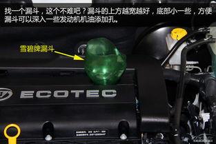 国产大牛换机油视频大全,视频大全解析